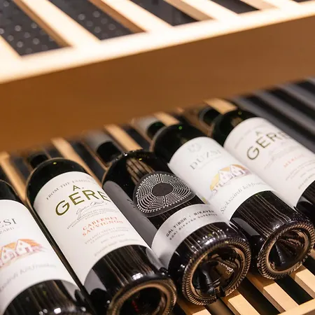 Hapimag Apartament *